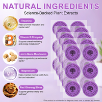 Super Focus Vitamin B Patches™